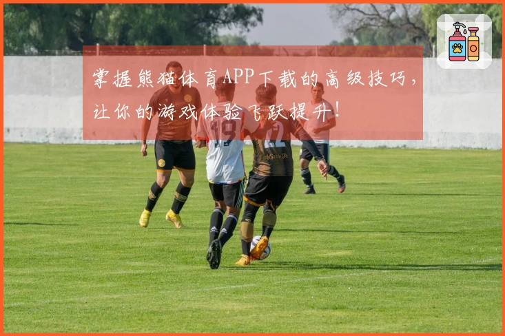 掌握熊猫体育APP下载的高级技巧，让你的游戏体验飞跃提升！